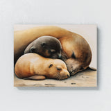 Sea Lion Cute Sea 12