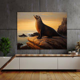 Sea Lion Sea Sunset Ocean 7