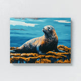 Seal Kelp Forest Sky 18