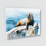 Seal Ocean 30