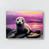 Seal Pup Sunset Sky 22