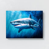 Shark Great White Ocean 27
