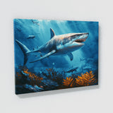Shark Great White Ocean 51
