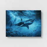 Shark Hunting Ocean 29
