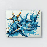 Starfish Abstract Colors 26