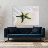 Starfish Bright Green Beach 29