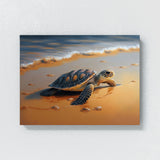 Turtle Sea Beach Water 62