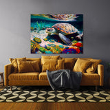 Turtle Vibrant 38