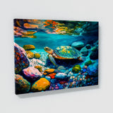 Turtle Vibrant 39