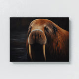 Walrus Realistic Portrait 3
