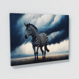 Zebra In Grass Field 31