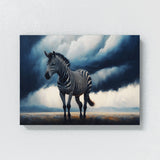 Zebra In Grass Field 31