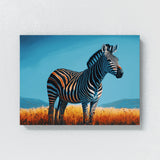 Zebra In Grassy Field 19