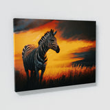 Zebra In Sunset Field 10