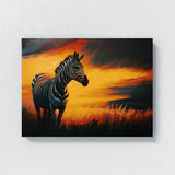 Zebra In Sunset Field 10