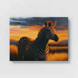 Zebra Realistic Grass Sunset 25