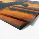 Zebra Realistic Grass Sunset 25