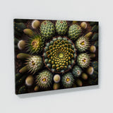 Mandala Cactus 43