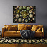 Mandala Cactus 43