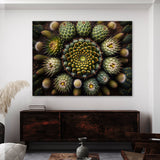 Mandala Cactus 43