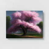 Season Cherry Blossom Tree 18