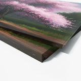 Season Cherry Blossom Tree 18