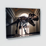 T Rex Skeleton Museum 39