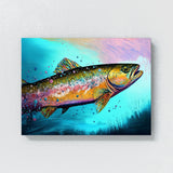 Trout Abstract Fly Colors 9