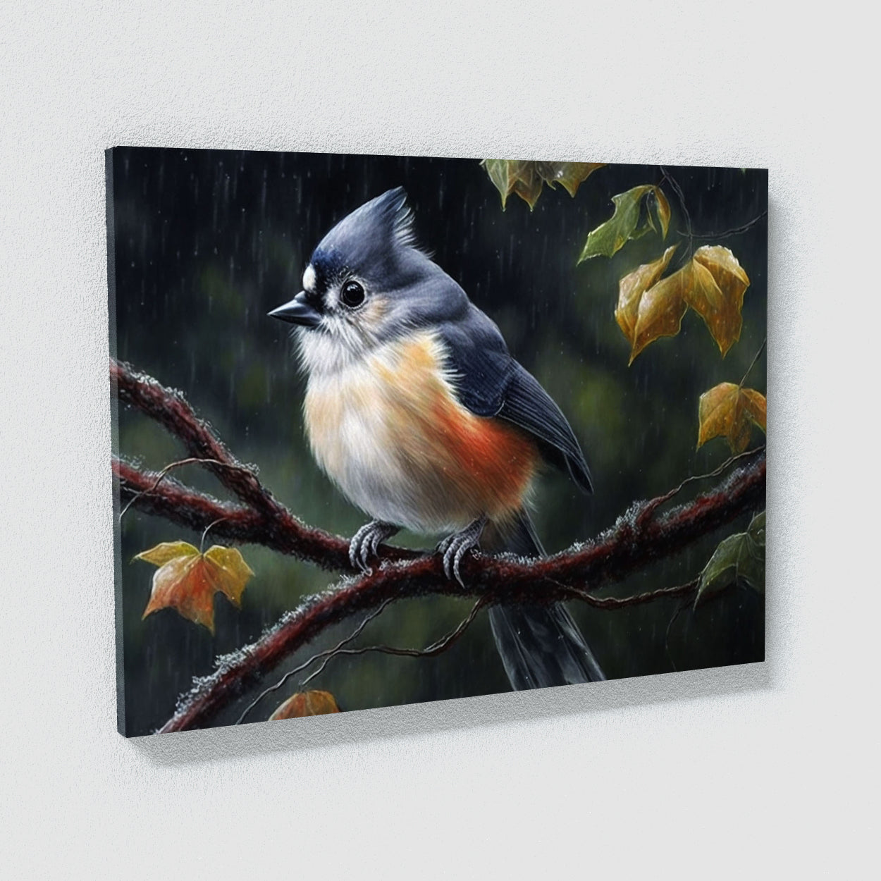 Tufted Titmouse Colored 42