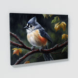 Tufted Titmouse Colored 42