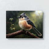 Tufted Titmouse Depth 9