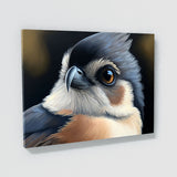Tufted Titmouse Eyes Beak 15