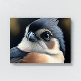 Tufted Titmouse Eyes Beak 15