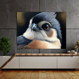 Tufted Titmouse Eyes Beak 15