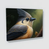 Tufted Titmouse Feathers 8