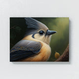Tufted Titmouse Feathers 8