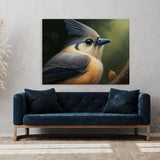 Tufted Titmouse Feathers 8