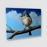 Tufted Titmouse Tree 16