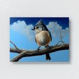 Tufted Titmouse Tree 16