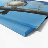 Tufted Titmouse Tree 16