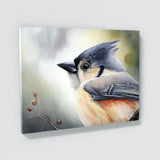 Tufted Titmouse Watercolor 32