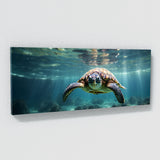 Wildlife Sunlit Ocean Glide 66