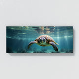 Wildlife Sunlit Ocean Glide 66