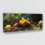 Insect Ant Teamwork 78