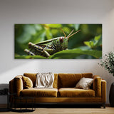 Insect Camouflaged Beauty 76