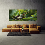 Insect Camouflaged Beauty 76