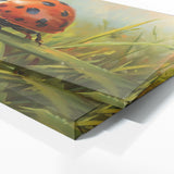 Insect Crimson Wanderer 16