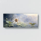 Insect Misty Web Weaving 36