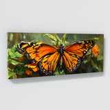 Insect Monarchs Majesty 1