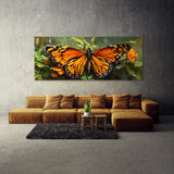 Insect Monarchs Majesty 1